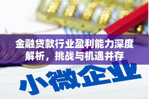 甘南金融贷款行业盈利能力深度解析，挑战与机遇并存