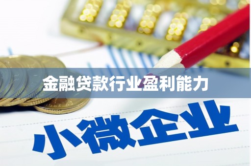 海丰金融贷款行业盈利能力