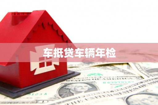 岳麓车抵贷车辆年检